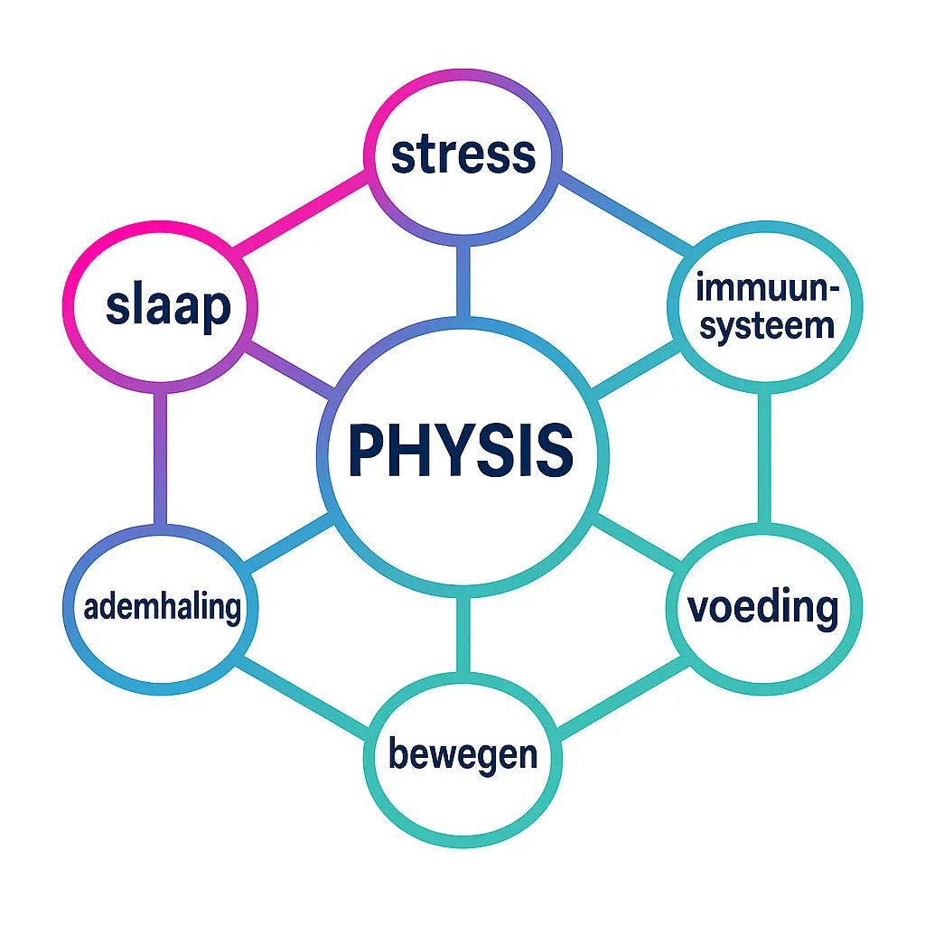 Schema van het Physis 6-domeinen model